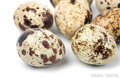 鹌鹑蛋孕妇能吃吗