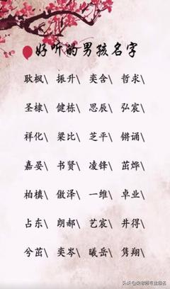 宸的男孩名字
