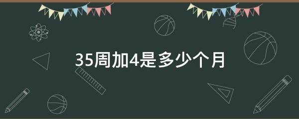 35周是多少个月