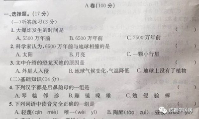 100分试卷选择题20道多少分