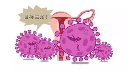 宫颈高危病毒怎么治疗