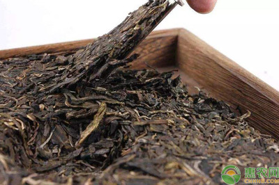 普洱茶怎样保存