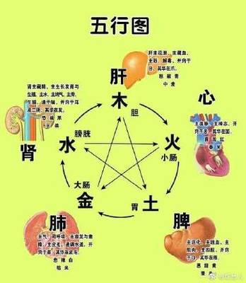 烁的五行