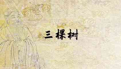 梦见别人杀树