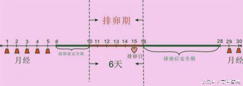 排卵期白带乳白色