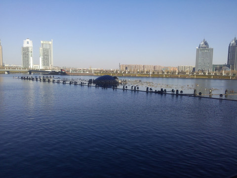 郑州龙子湖在哪个区