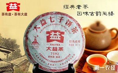 普洱茶牌子