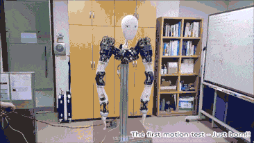 机器人也要