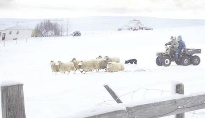 为什么积雪北方化的快