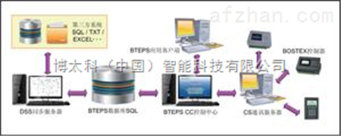 柏字的五行属性