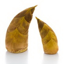 月子里能吃春笋吗