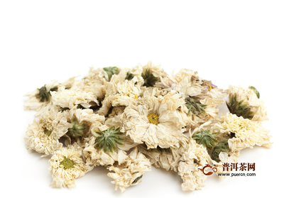 普洱能和菊花一起泡吗