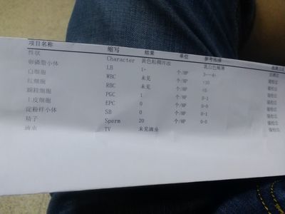 前列腺液怀孕几率大吗