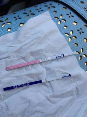 梦见自己来例假了见血