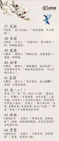 日照起名