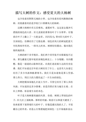 夏天中的杨树做作文怎么写