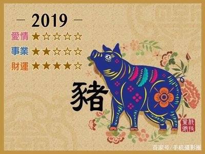 猪年2019年运势及运程