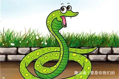 男属蛇女属鼠相配吗