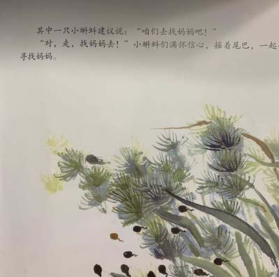 选择一只蝌蚪怎么做