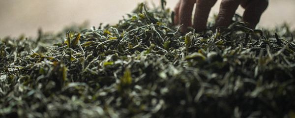 陕西茶叶哪种最好