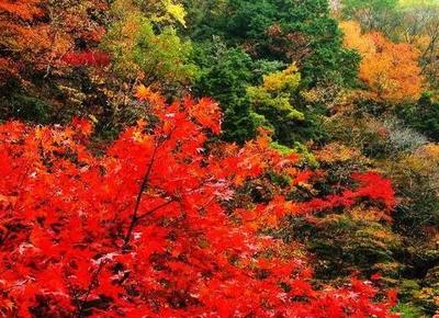 北京香山附近景点