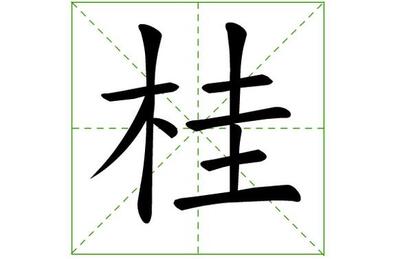 桂字属于五行属什么