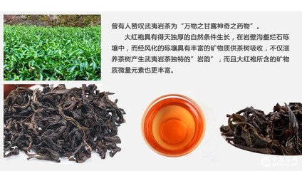 大红袍的功效与作用禁忌