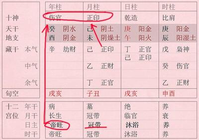 八字有根是什么意思