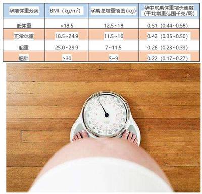 1.6米怀孕体重是多少