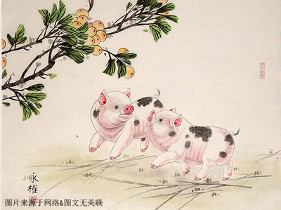 属猪本周运势
