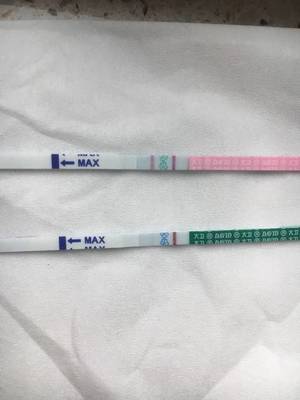 怀孕多长时间早孕试纸能测出来