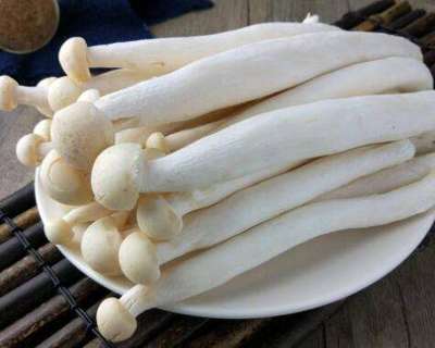 孕妇能吃海鲜菇