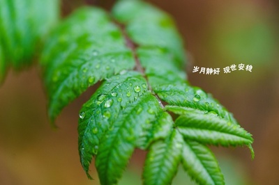 暖心八字短句小清新