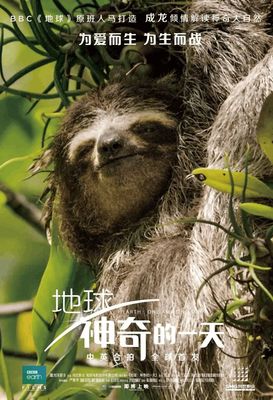 环球娱乐开户