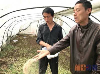 郯城人怎么样