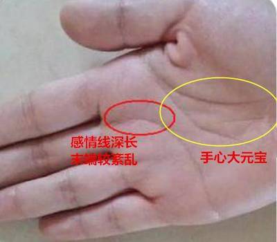 元宝纹手相的命运女人