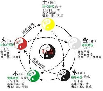 甲子五行
