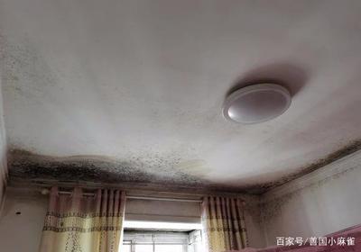 房间灰尘多
