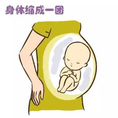 五个月胎动什么感觉
