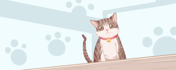 周公解梦梦见给猫洗澡