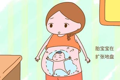 怀孕几个月才算稳定