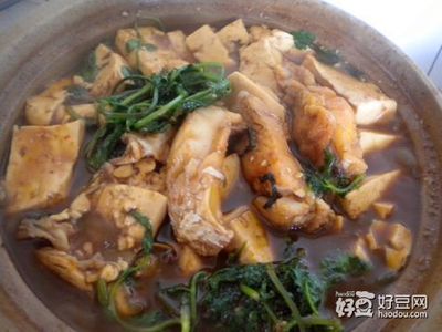 孕妇鱼做法大全家常