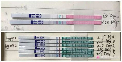 试纸 怀孕