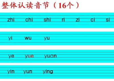 十六个整体认读音节怎么读