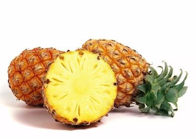 8个月宝宝能吃菠萝吗