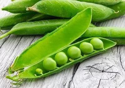 豆子名称