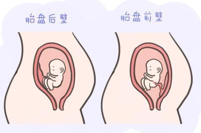 胎儿七个月