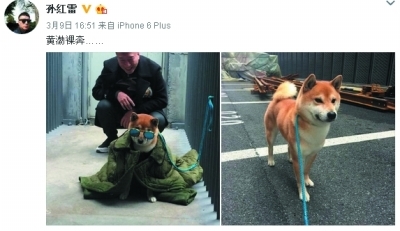 狗狗性格