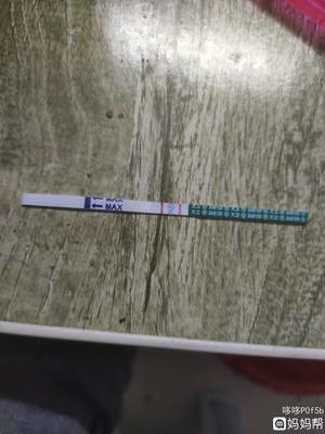 一根输卵管能怀孕吗