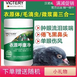 感冒咳嗽能吃鸽子吗
